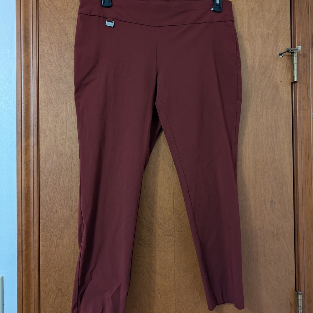 Alfani Skin Y Pants with Modern Silhouette
